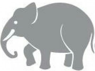 Provider Logo