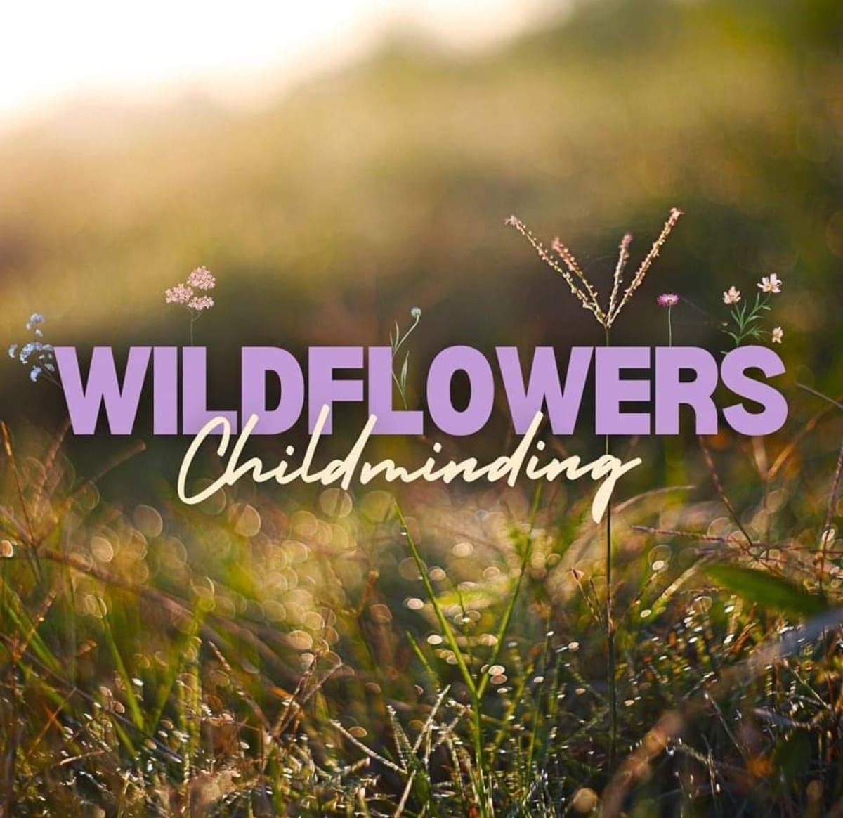 Provider Logo